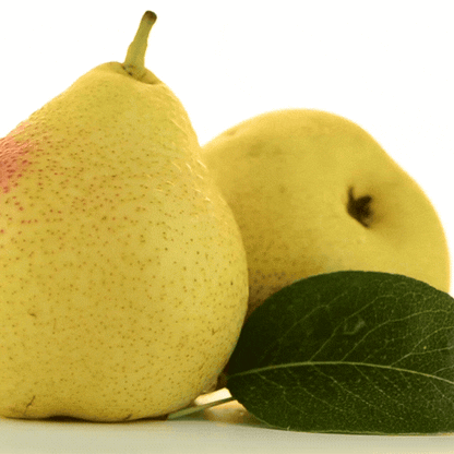 Succo Bio di Pera e Zenzero Agripiace